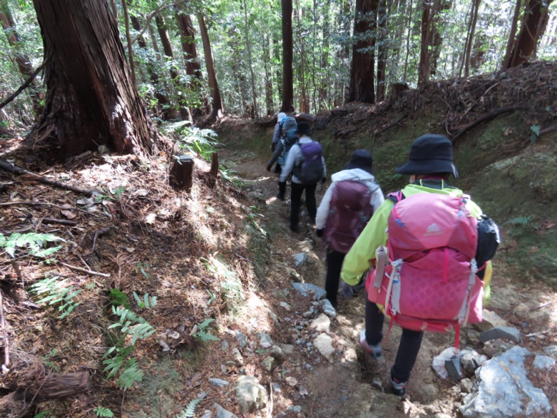 日和田山、物見山